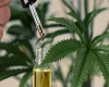 how-cbd-oil-can-improve-your-health.webp